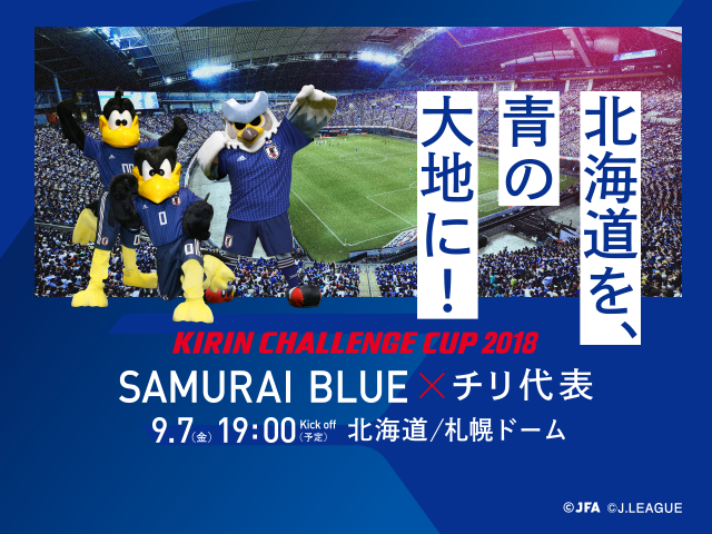 サッカー日本代表 キリンチャレンジカップ 9/7チリ戦 札幌ドーム ペア