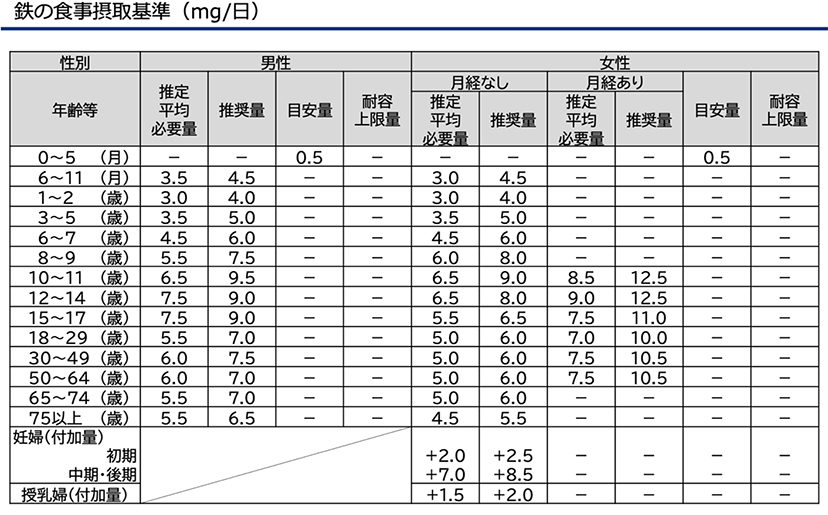 図3　鉄の食事摂取基準