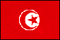 チュニジア代表