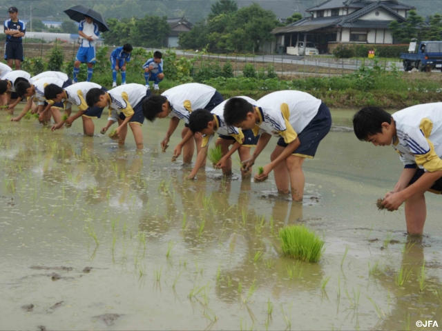 JFA Academy Kumamoto Uki experience “Rice Planting Experience” “CPR Workshop”